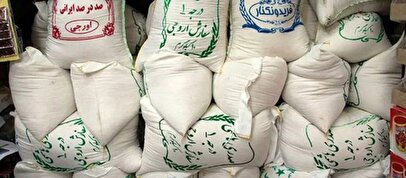 ریزش قیمت برنج در بازار امروز/ کاهش قیمت ها ادامه دارد؟