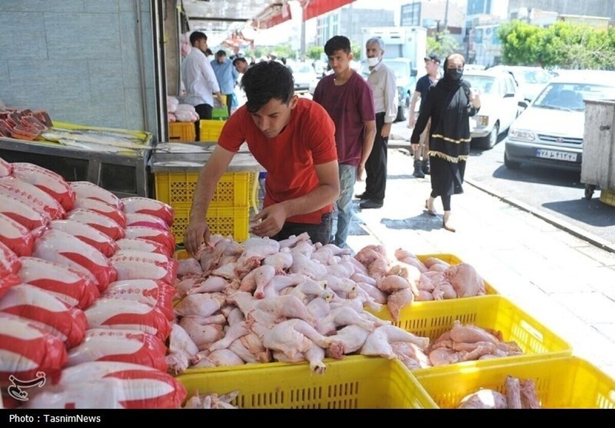 افزایش عرضه مرغ در بازار تهران افزایش عرضه مرغ در بازار تهران