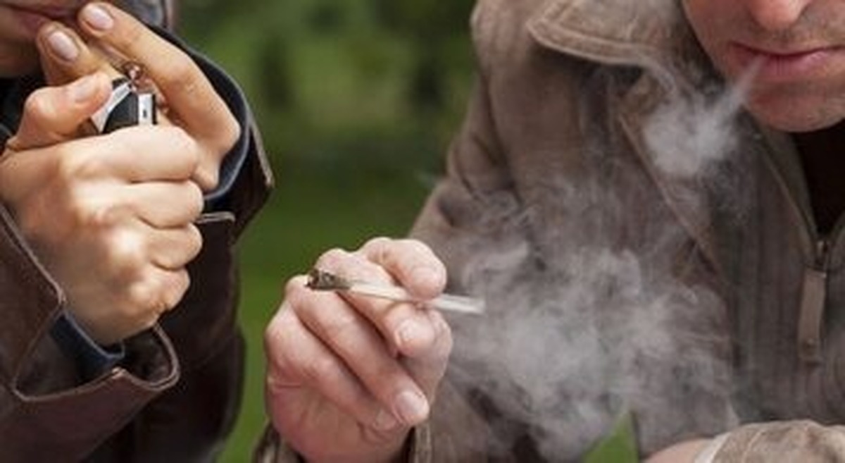 هشدار جدی پزشکی قانونی؛ مصرف گل و حشیش می‌تواند منجر به قتل اعضای خانواده شود