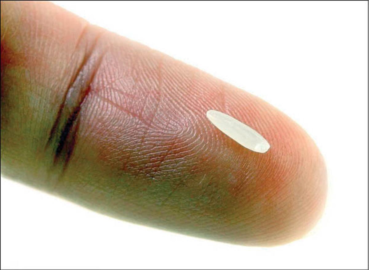 قیمت هر دانه برنج ۸۰ تومان شد / هر قاشق ۲ هزار و ۴۰۰ تومان