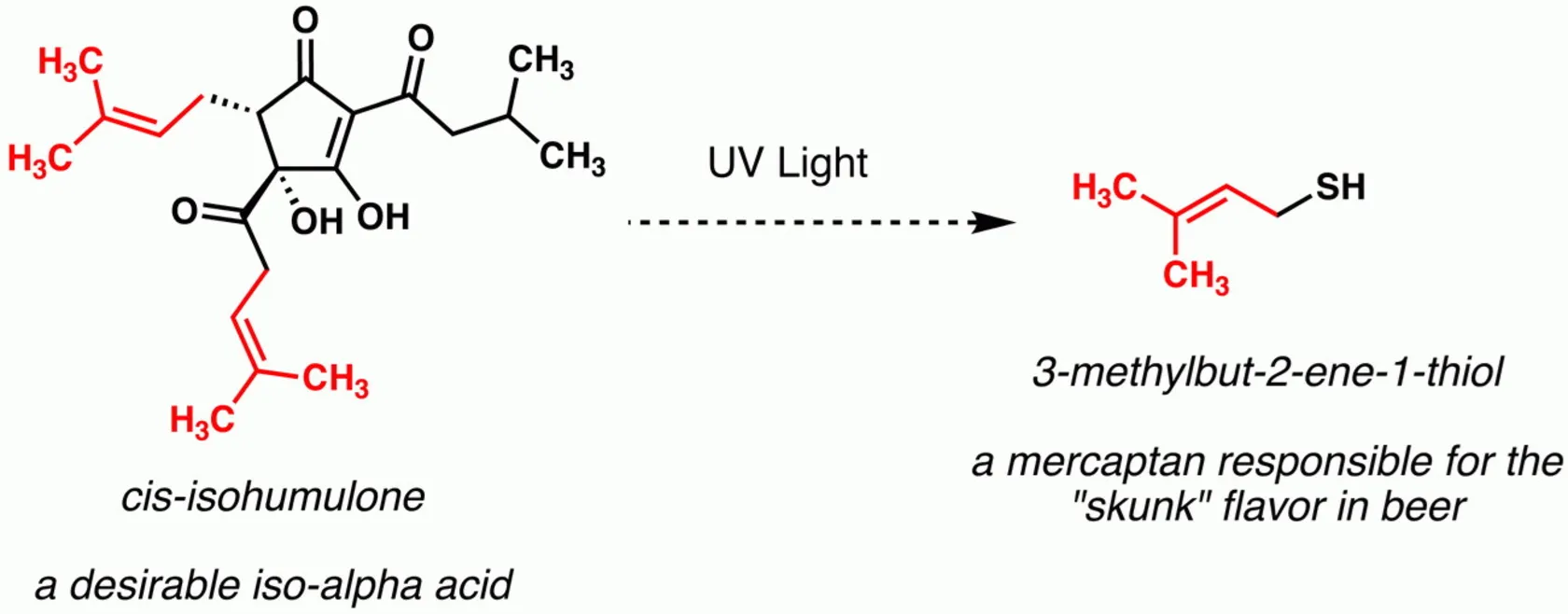 چرا بطری ماءالشعیر سبز یا قهوهای است؟/ پاسخ شما را شگفتزده خواهد کرد چرا بطری ماءالشعیر سبز یا قهوهای است؟/ پاسخ شما را شگفتزده خواهد کرد