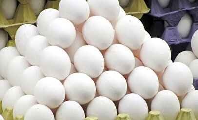 قیمت تخم‌مرغ اعلام شد / بالاتر از این قیمت نخرید!