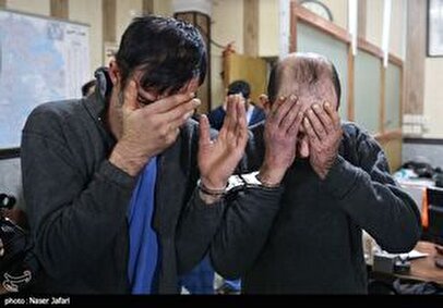 کارآگاه‌بازی زن همسایه، پاتوق سارقان را لو داد