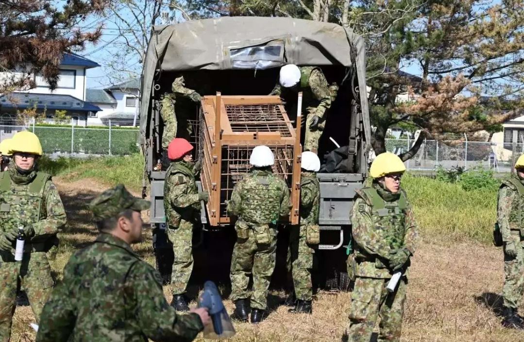 ارتش ژاپن به جنگ خرسها میرود! ارتش ژاپن به جنگ خرسها میرود!
