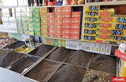 قیمت چای دوباره گران شد / میلیونی شدن قیمت چای در آبان ۱۴۰۴