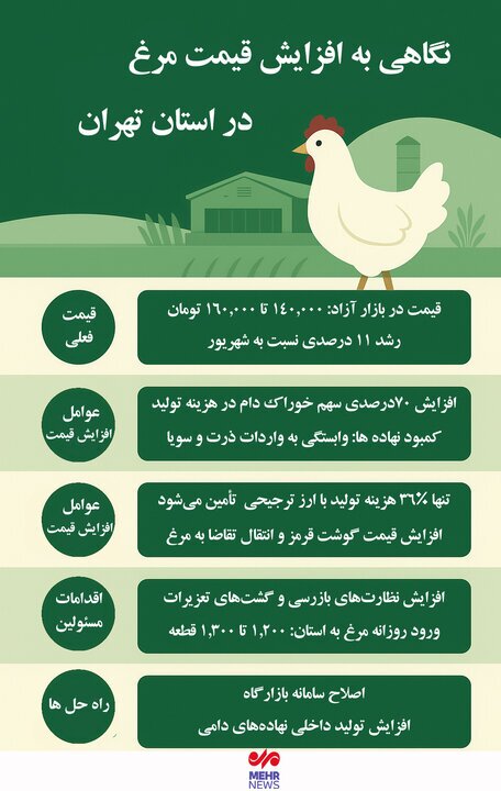 رکوردشکنی عجیب قیمت مرغ