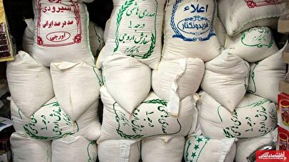 قیمت برنج ایرانی به ۴۰۰ هزار تومان رسید / لیست قیمت برنج هاشمی، طارم، نیم دانه، فجر و میانه در آبان ۱۴۰۴