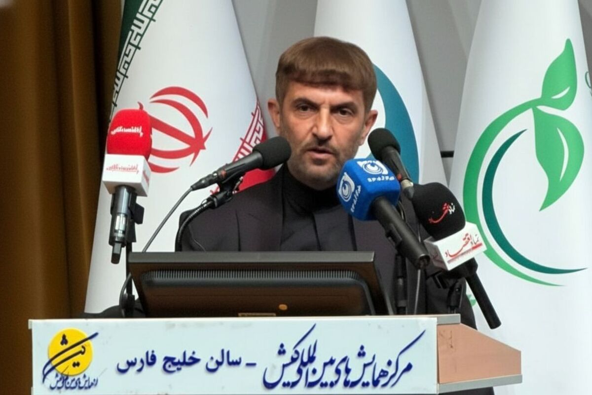 ضعف در قواعد حکمرانی مانع رشد اقتصاد دریا محور