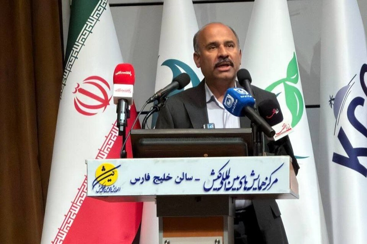 بدون تامین مالی، دستیابی به رشد ۸ درصدی امکان‌پذیر نیست