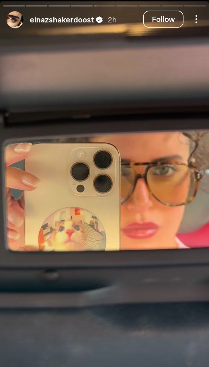 قاب بامزه گوشی الناز شاکردوست