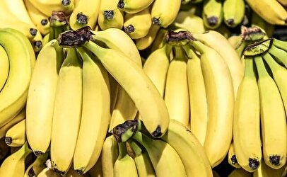 توضیح گمرک درمورد واردات موز و صادرات کشمش/ ماجرای مسدود شدن حساب‌های بازرگانی چیست؟