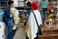 از عجایب لاکچری بازی در تهران؛ از کتلت تا پیتزا مخصوص/ رونمایی از کافه سگها در تهران! +عکس از عجایب لاکچری بازی در تهران؛ از کتلت تا پیتزا مخصوص/ رونمایی از کافه سگها در تهران! +عکس