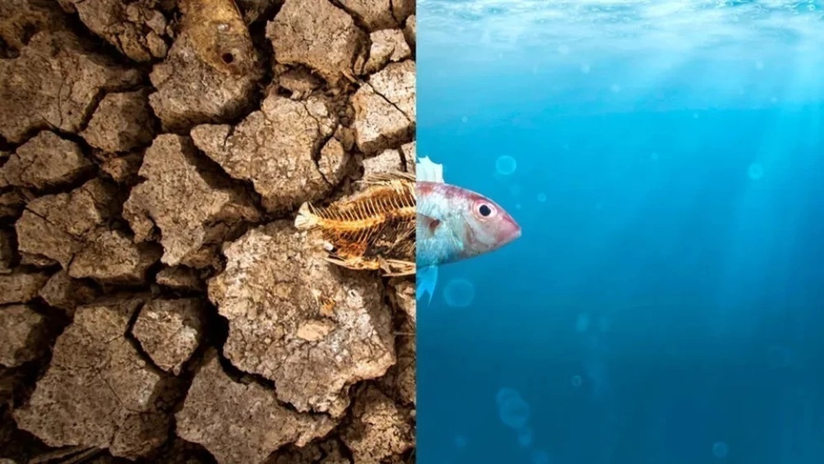 فاجعه در راه ایران/ اشتباه محمود احمدی‌نژاد تکرار شد!