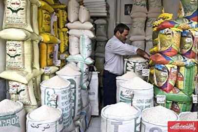 قیمت برنج یک شبه ۲۰۰ هزار تومان ریخت! / خبر خوش به بازار برنج رسید