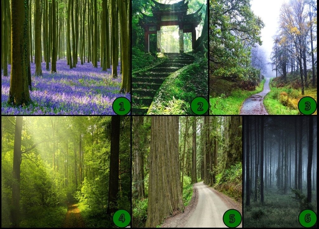 یک تصویر را انتخاب کنید تا شخصیتتان را به شما بگوییم!