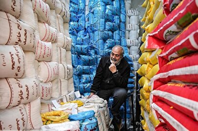 سیل برنج پاکستانی در راه بازار / قیمت برنج هندی سقوط کرد