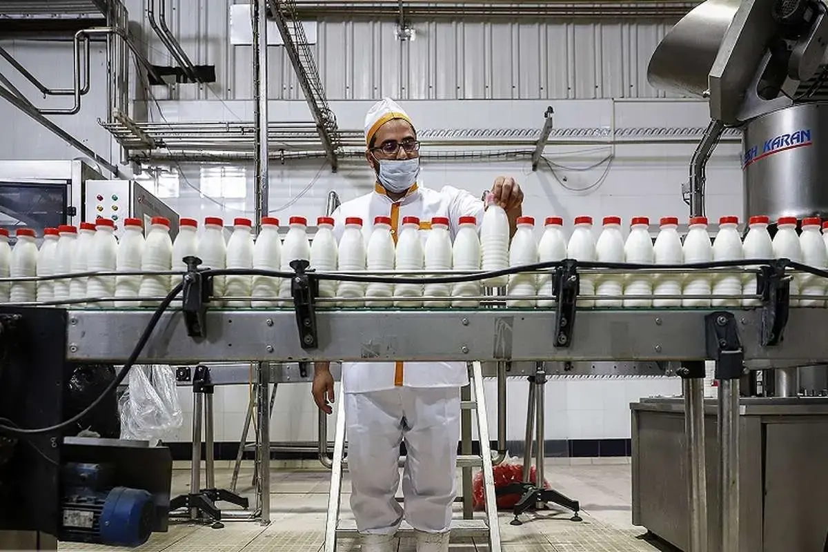 افزایش ناگهانی قیمت لبنیات؛ ماست و پنیر در صدر گرانی‌ها