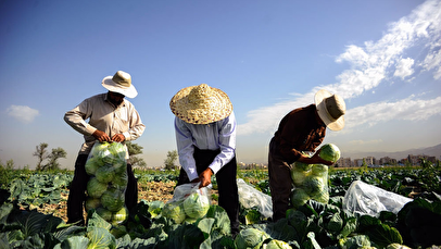 حراج آب بیخ گوش تهران / مصرف آب دو ماه تهرانی‌ها را به زمین می‌ریزند
