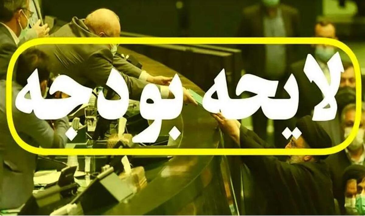 بی‌انضباطی مالی در بودجه/ چرا در مجلس به یک نوع غذا بسنده نمی‌کنند؟