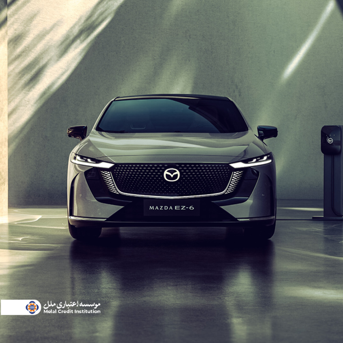 آغاز طرح عرضه خودروهای برقی با همکاری مؤسسه اعتباری ملل