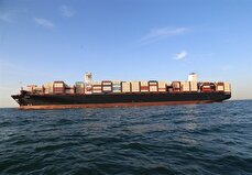 شفاف سازی «حکشتی» در خصوص ایفای تعهدات ارزی