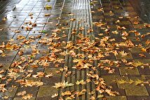 آغاز بارش پاییزی از نیمه دوم پاییز+ فیلم