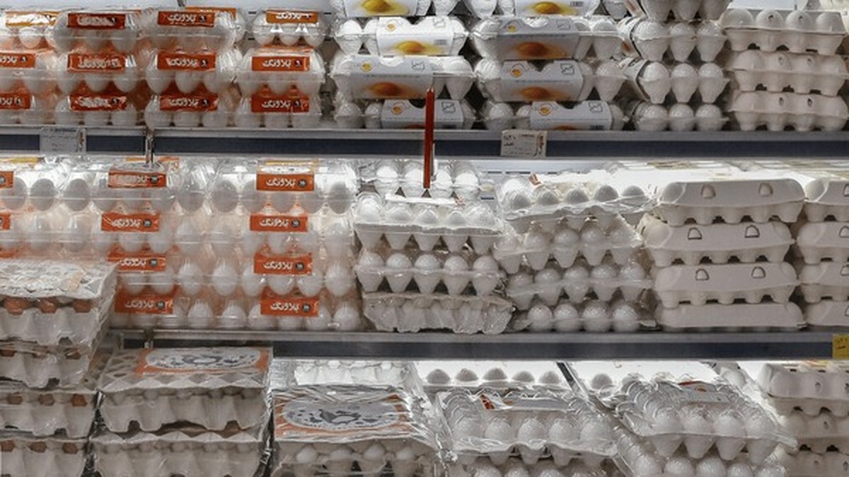 وزیر کشاورزی: تخممرغ گران نیست وزیر کشاورزی: تخممرغ گران نیست