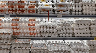 وزیر کشاورزی: تخم‌مرغ گران نیست