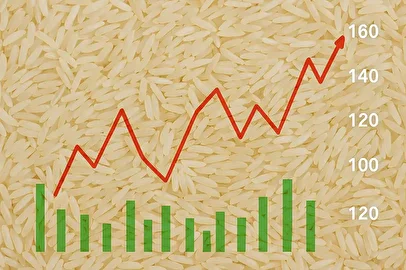 کاهش قیمت برنج ایرانی + جدول قیمت آبان ۱۴۰۴