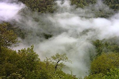 افشاگری نماینده بابل / بودجه رسمی خرید بالگرد‌های اطفای حریق وجود داشته، معلوم نیست کجا هزینه شده؟