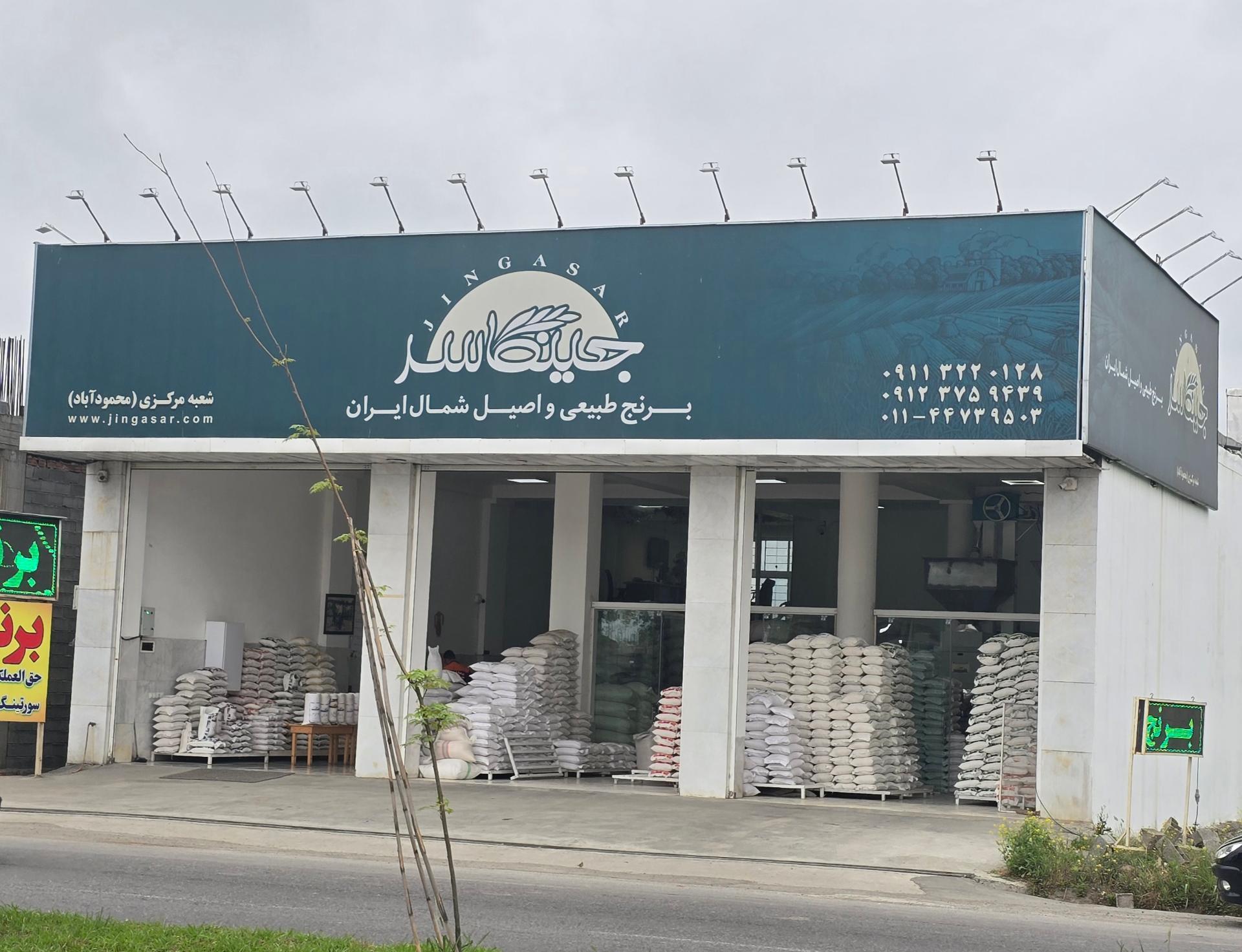 شعبه برنج جینگاسر