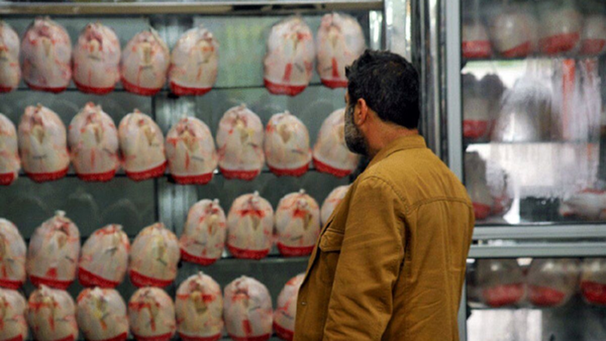 مرغ باز هم گران می‌شود؟