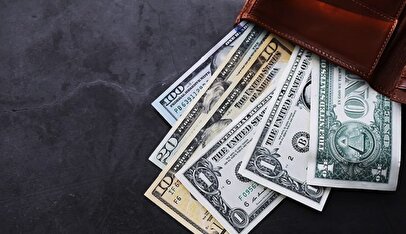 چگونه و از کجا خرید ارز مسافرتی بخریم؟/ مراحل، شرایط و سقف دریافت ارز مسافرتی