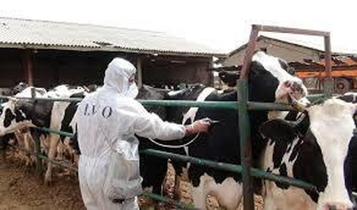 هشدار جدی به همه مردم ایران / شیوع ویروس با خطر ۲۵ برابری کرونا