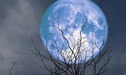 فردا ۱۴ آذر ۱۴۰۴ چشم از آسمان برندارید / همه بخوانند