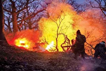 آتش‌سوزی دوباره در جنگل الیت+ فیلم