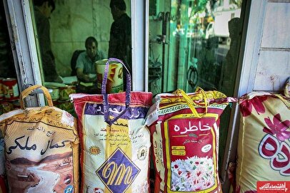 آشفته‌ بازار برنج در آذر ۱۴۰۴/ قیمت برنج ۳۰۰ هزار تومان افزایش یافت!