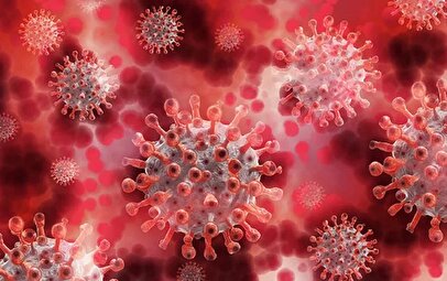 بیانیه فوری وزارت بهداشت/ مردم مراقب این ویروس وحشتناک باشند