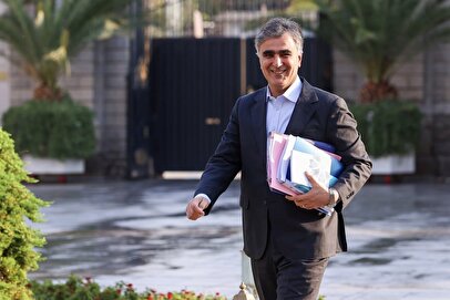 خط و نشان فرزین برای یانک‌ها / هرچه سریعتر از بنگاهداری خارج شوید