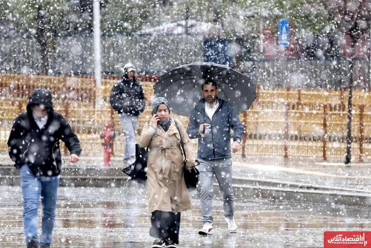 پیش بینی پیش بینی