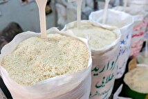 اظهارات جنجالی رئیس اتاق اصناف کشاورزی مازندران: برنج را در دریا بریزید