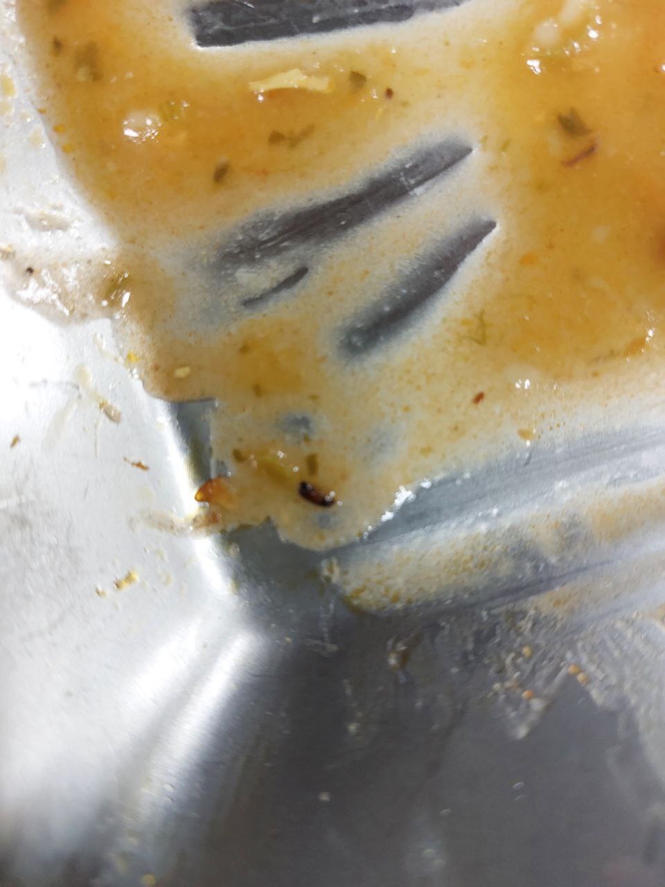 تصاویر وحشتناک از شام در یکی از دانشگاه‌های دولتی