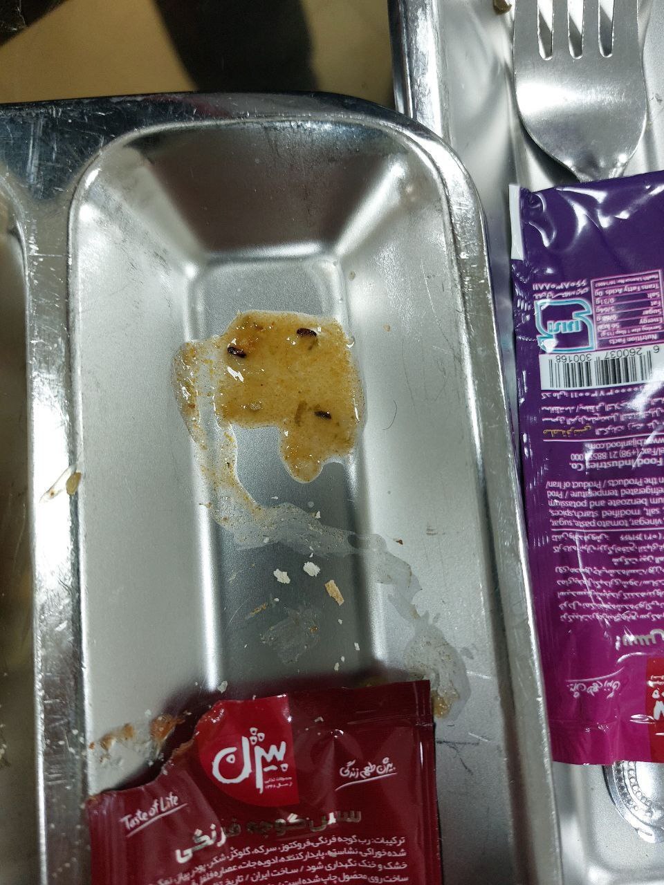 تصاویر وحشتناک از شام در یکی از دانشگاه‌های دولتی