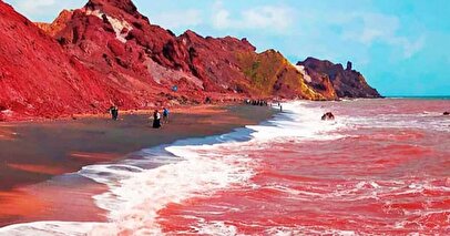 جوی خون در ساحل جزیره هرمز راه افتاد + فیلم