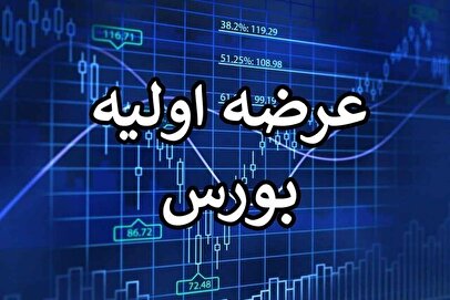 عرضه اولیه غول بزرگ پتروشیمی در بورس/ زمان و جزئیات عرضه اعلام شد