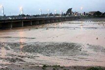 هلیل رود در جنوب استان کرمان جان تازه‌ای گرفت+ فیلم