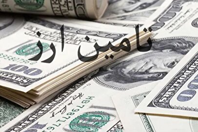 تامین ۹.۷ میلیارد دلار ارز برای کالا‌های اساسی و دارو