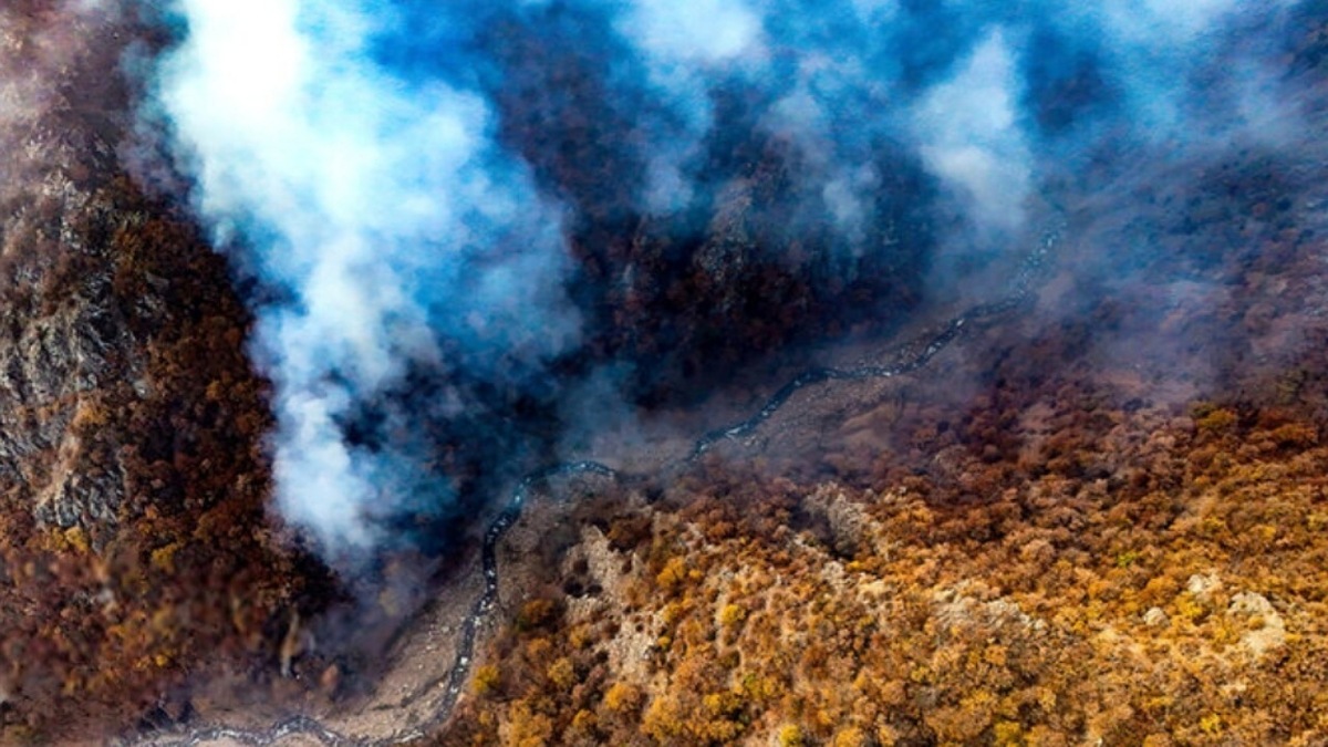 آتش‌سوزی جنگل این‌بار در آذربایجان شرقی/ چه بر سر جنگل‌های ایران می‌آید؟