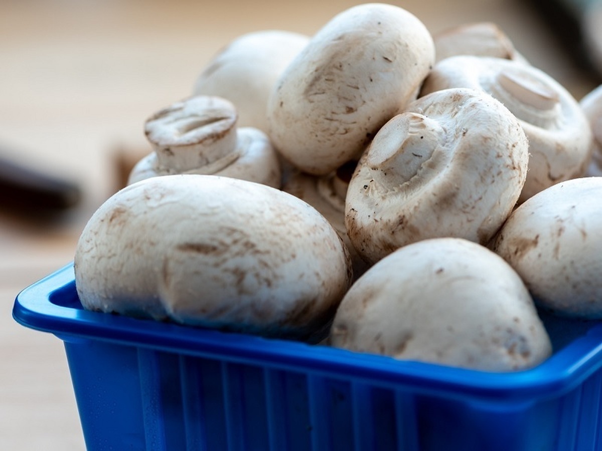 تغذیه ویژه برای سلامت قلب