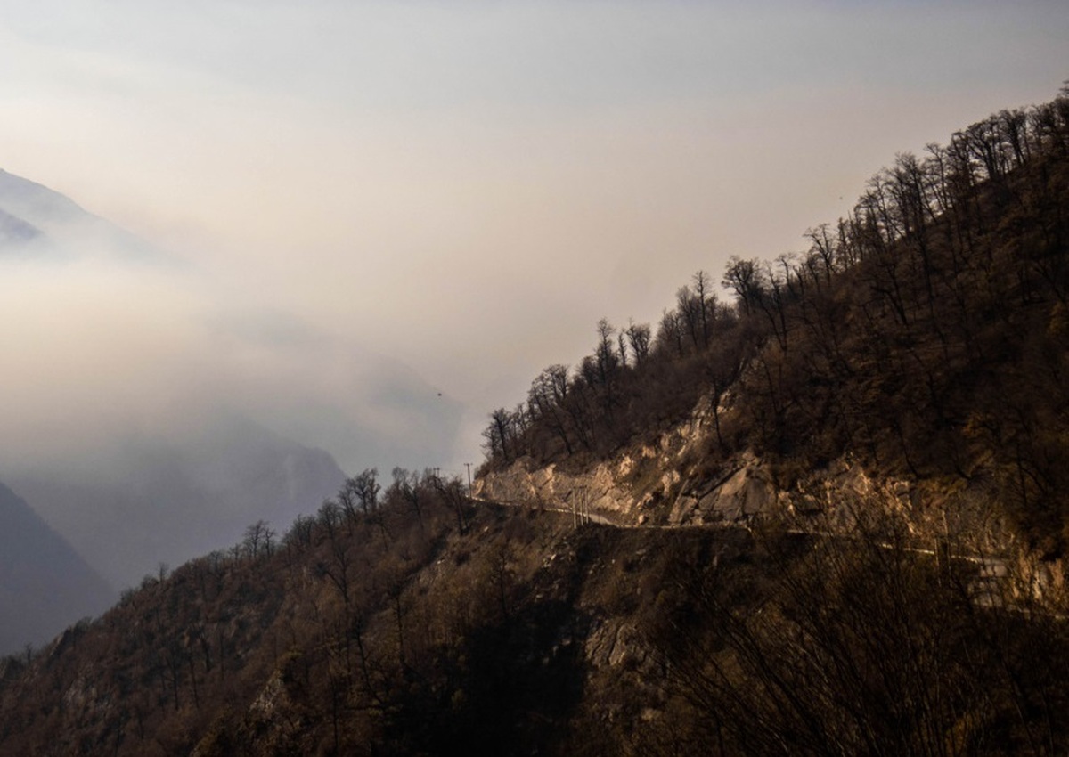 خسارت آتش به جنگل‌های الیت چقدر بود؟ / چند هکتار جنکل سوخت؟